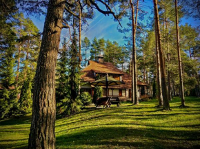 KRALJEVI KONACI - Vila Zelena Dolina - Zlatibor